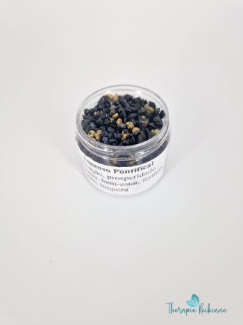 Incenso em grão Pontifical